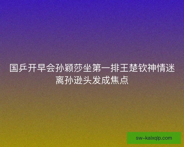 国乒开早会孙颖莎坐第一排王楚钦神情迷离孙逊头发成焦点 国乒开早会孙颖莎坐第一排王楚钦神情迷离孙逊头发成焦点